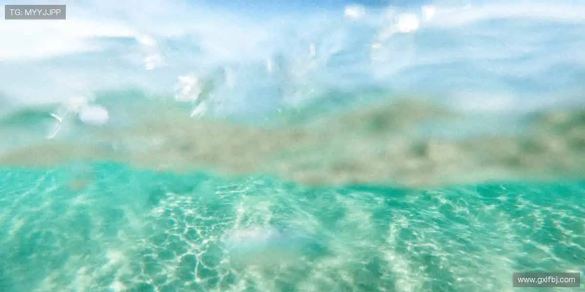 🎁收藏热爱，见证传奇！体育周边官网，限量正品，让每一件都是独家记忆！🏆🔥